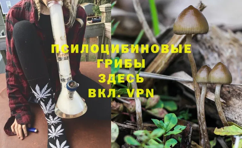 Псилоцибиновые грибы GOLDEN TEACHER  кракен   Саянск 